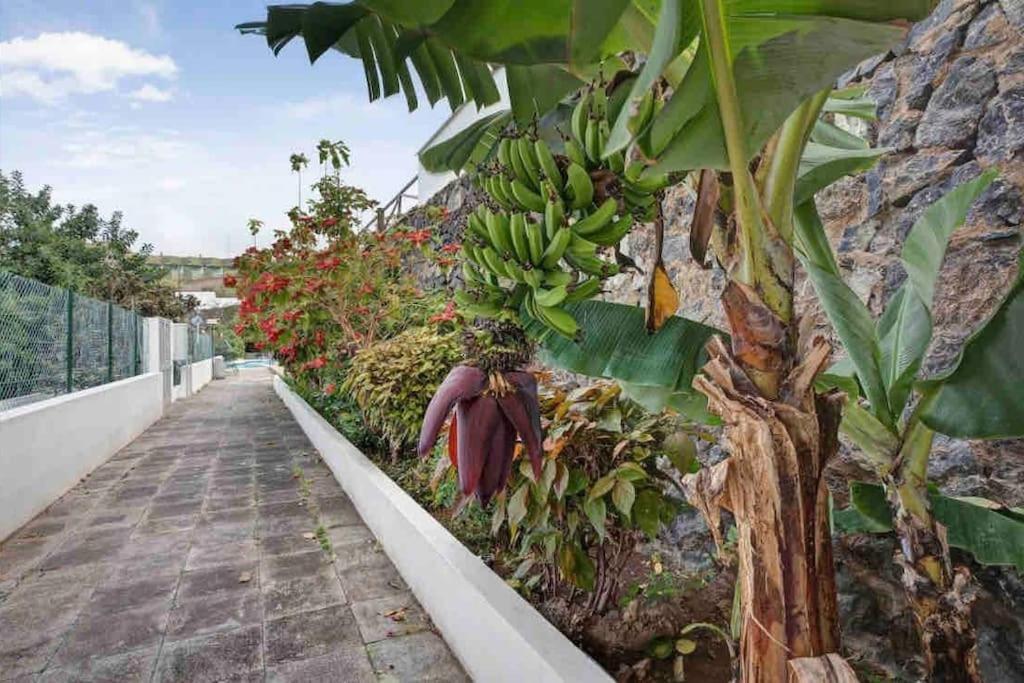 Paradise Studio Belair Wifi, Piscina, Parking 拉克鲁斯 外观 照片
